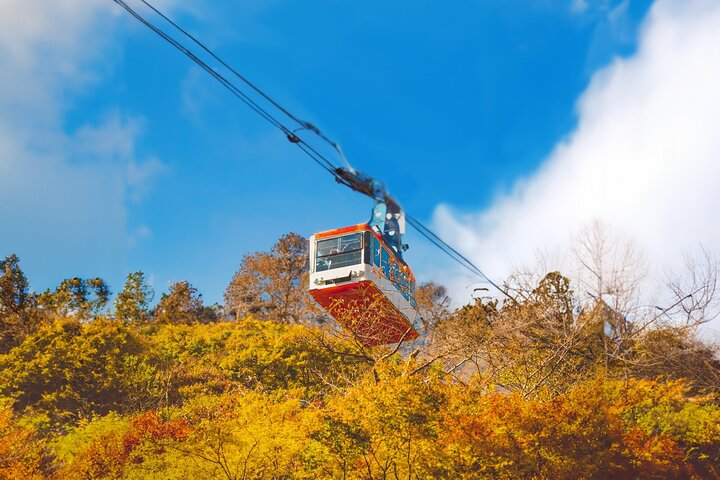 Experience breathtaking views as you glide above the autumn foliage immersing yourself in the tranquility of Naejangsan’s majestic landscapes and serene surroundings. Perfect for nature lovers and adventurers alike.